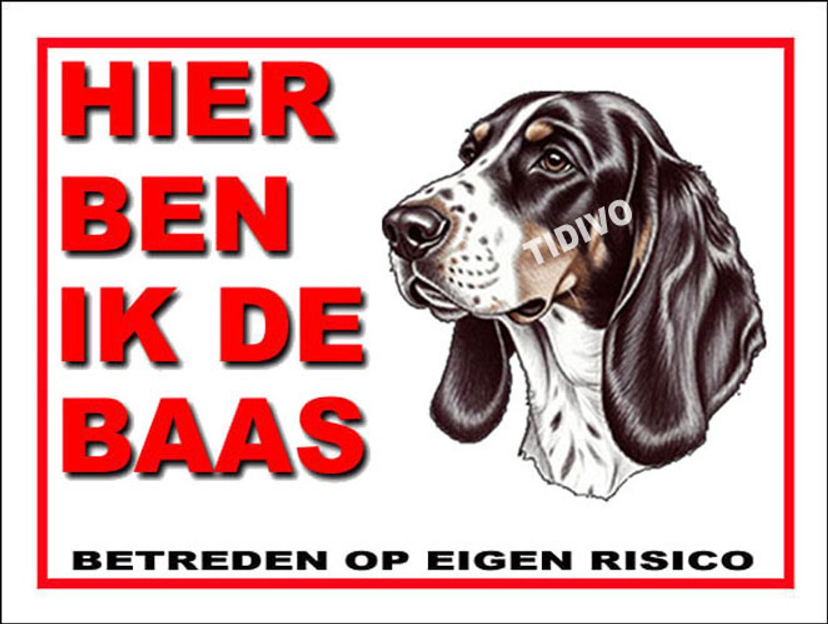 Berner Laufhund 2