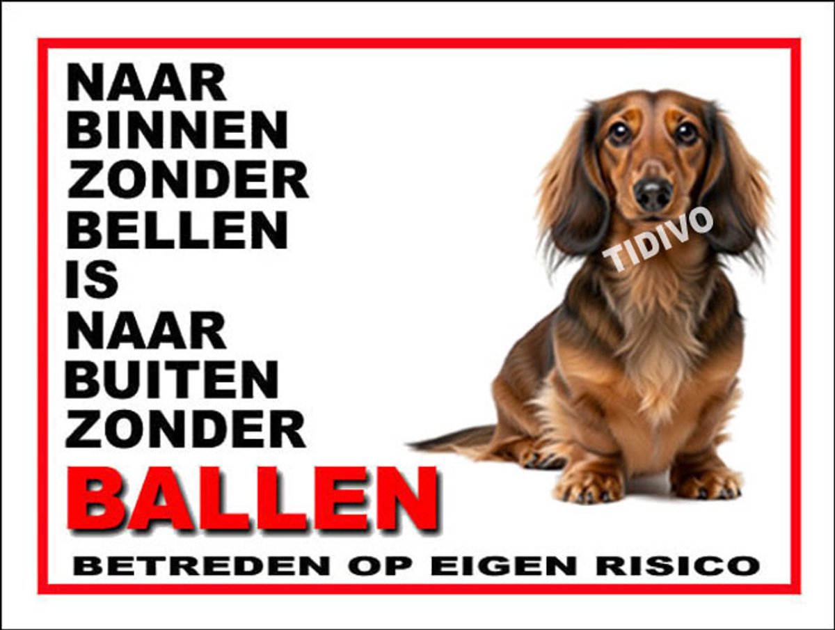 Dashond Dwerg, Langhaar 11