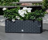 Cobble Trio - Slimme kruidenpot met bewateringssysteem - Antraciet - Kruidenbak - Kweekbak - Plantenbak