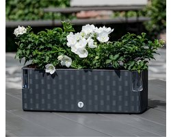 Cobble Trio - Slimme kruidenpot met bewateringssysteem - Antraciet - Kruidenbak - Kweekbak - Plantenbak