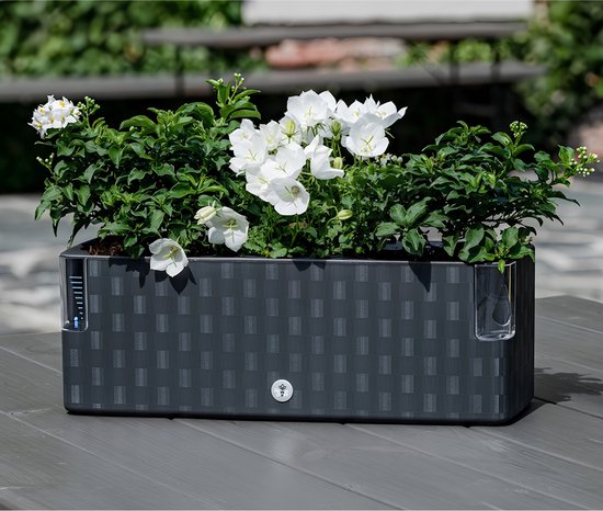 Zwarte 'Flower Lover' plantenbak met witte bloemen en rasterpatroon.