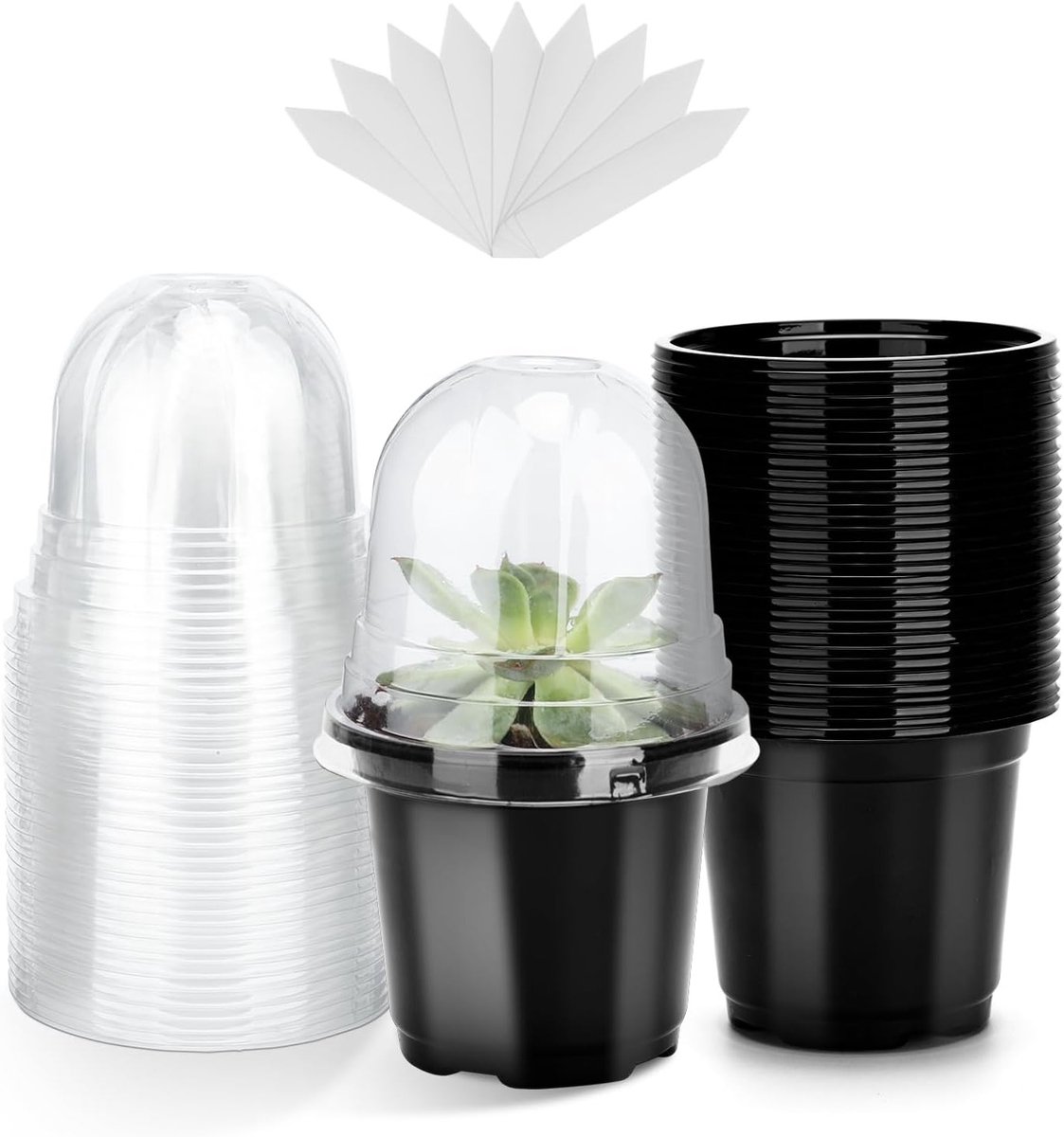 10 cm Kweekpotten voor Zaailingen, 32 Stuks Plastic Bloempotten met Doorzichtig Deksel en 10 Plantlabels, Ideaal voor het Verplanten van Planten, Zwart