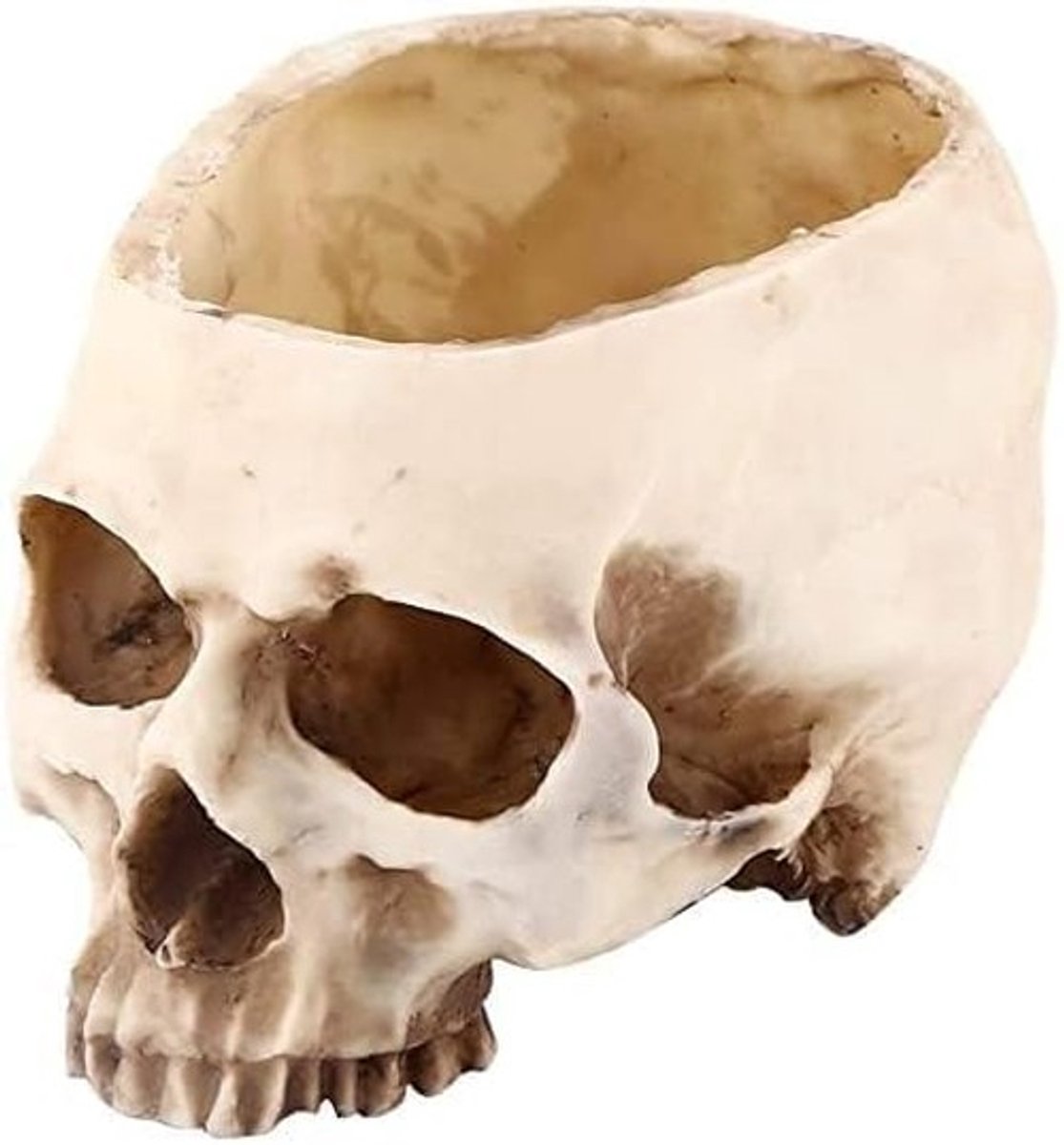 Dailygoody - Skull Plant Pot - Modern Decoratie - Groot formaat - Multifunctioneel - Transparant - Geschikt voor binnen - Resin
