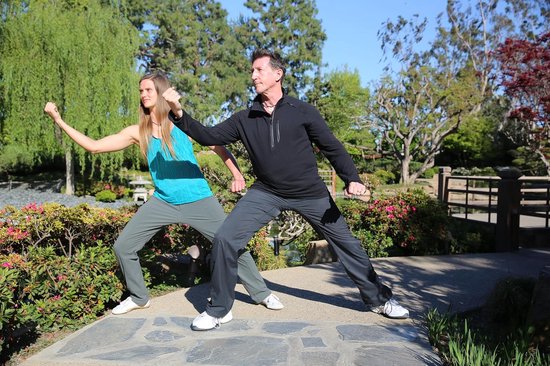 Tai Chi DVD - Flow Workout - Bewegingsoefeningen Leren - Spiegelbeeld Weergave - 45 Minuten - Niet Van Toepassing — afbeelding 2