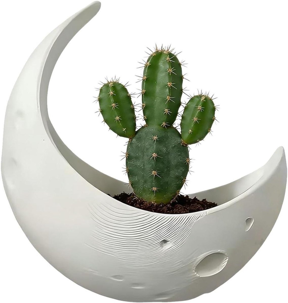 Maanvormige Wandpot - Halve Maan Pot - Planten Decoratie - Uniek Halve Maan Ontwerp