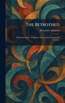 Boek 'The Betrothed' van Alessandro Manzoni, met een abstracte, wervelende cover in bruin, oranje en blauw.