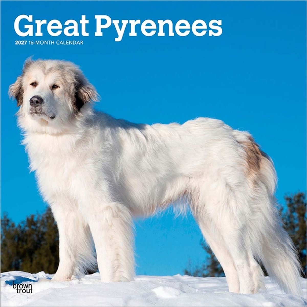 Pyreneese Berghond Kalender 2027