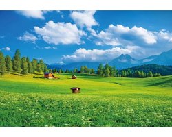 Landschap Achtergrond - Fotografie Decor Banner - Artistiek Portret Foto - Origineel Ontwerp - 25x18m - Alpen Weide Blauw