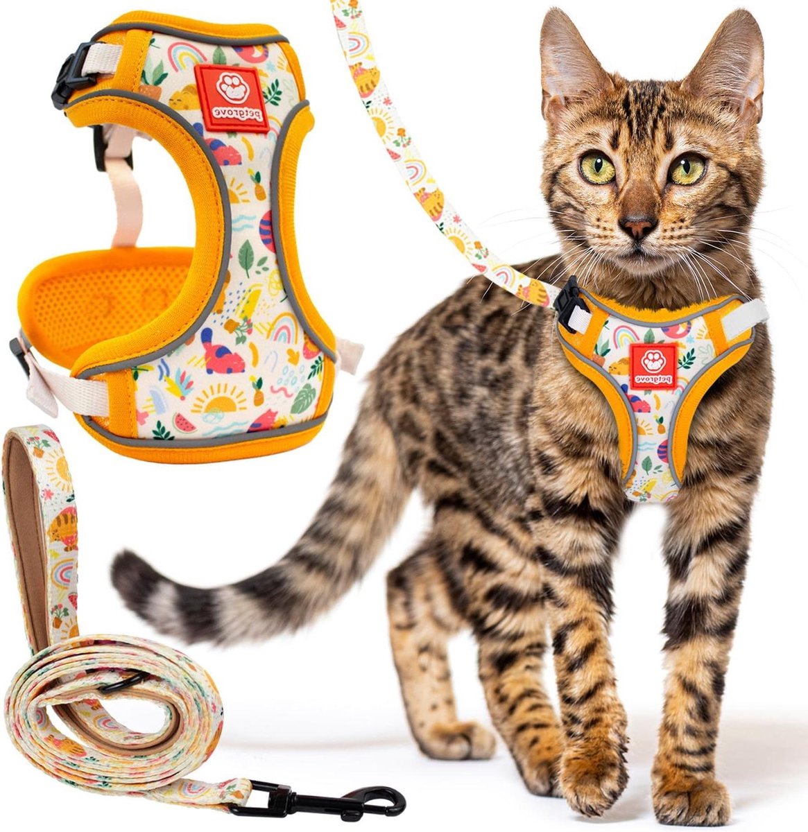 Kattenharnas en riemset - Tuigje voor kat - Veilig wandelen buiten - Ontsnappingsbestendig ontwerp - X-Small - Moderne Kat