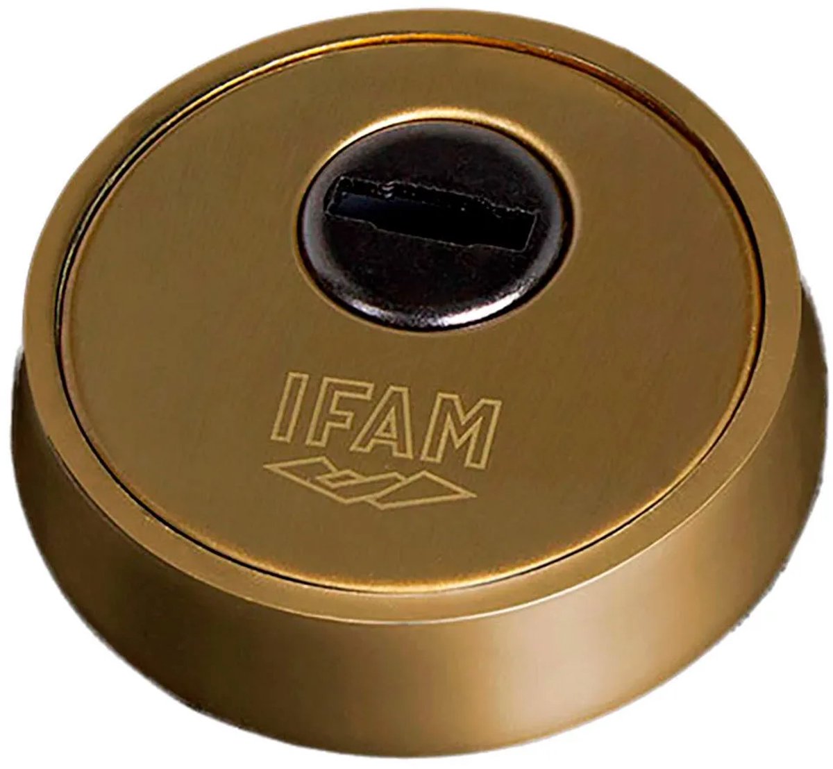 Veiligheidsschild IFAM ES700L Gouden Staal Blik Ø 61 mm