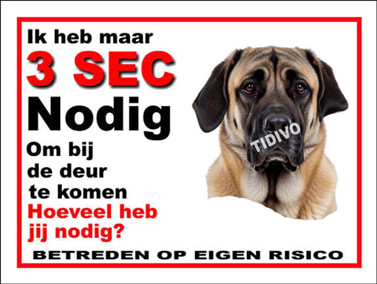 Kangal Köpek 6