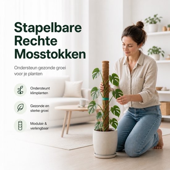 BOTC Mosstok voor Planten - 2x40cm - Plantenstok - Plantensteun - Perfect voor Monstera, Pothos en Meer