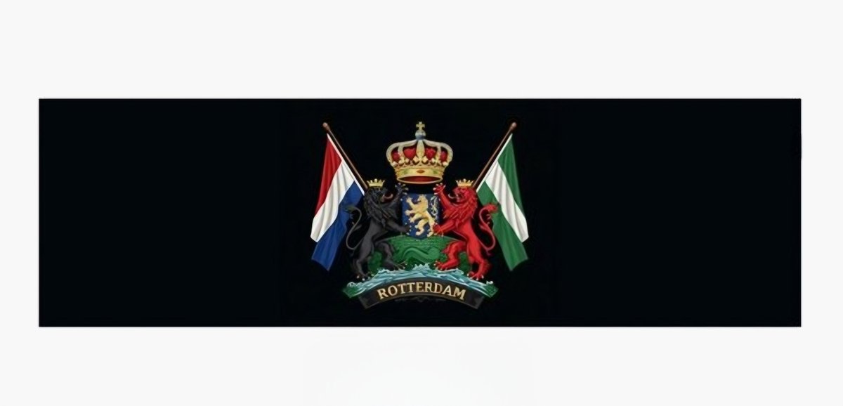 ROTTERDAM & Nederland Sporthanddoek 100x30cm - Handdoek Nederland Holland 010 Feyenoord - one size