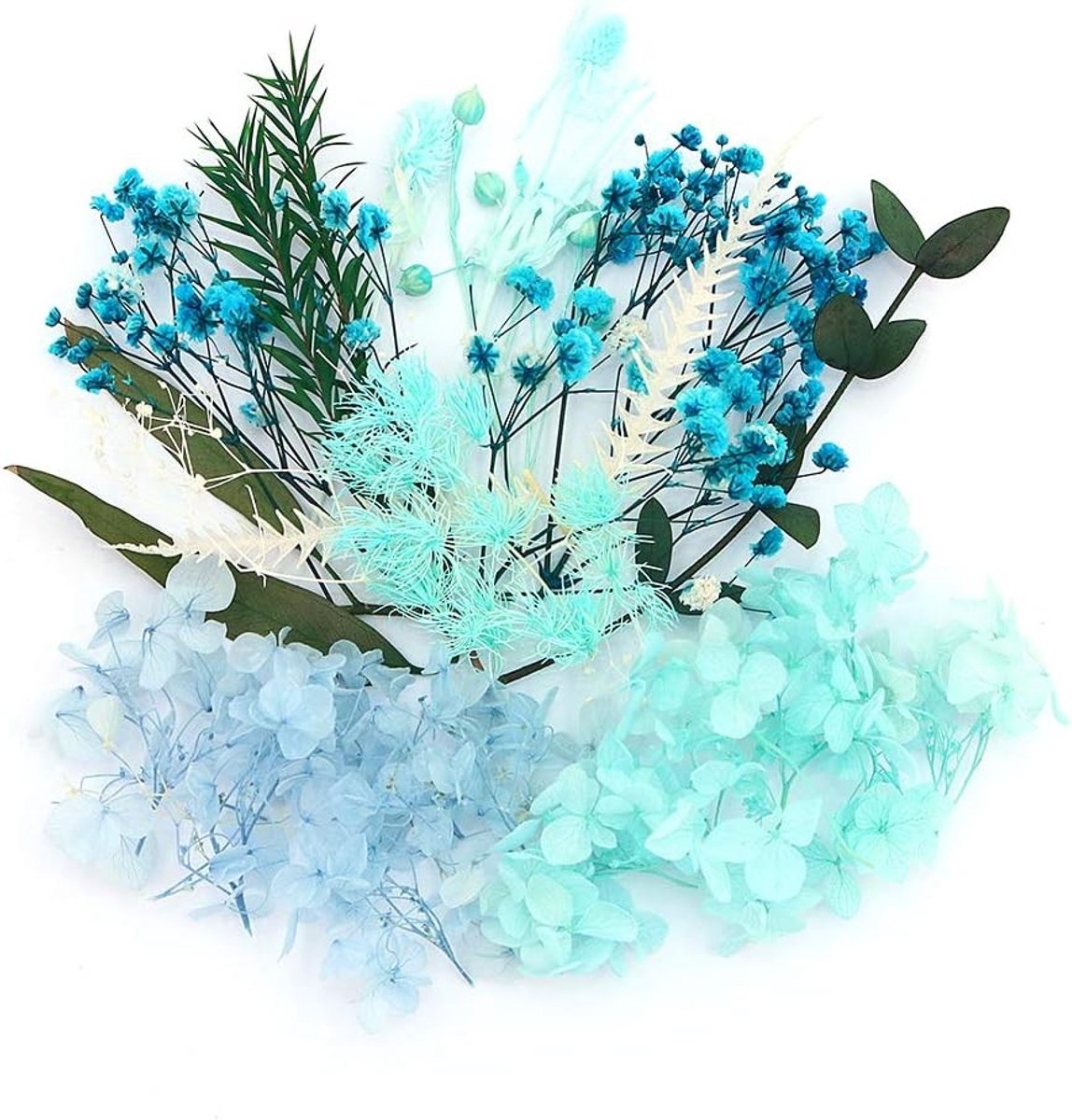 Allecto - Kunstbloemen - Dried Flowers - Perfect voor Decoraties - Blauw - Bloemen voor Thuis - Decoratie en Ambacht - Sfeervolle Bloemstukken - Ge..