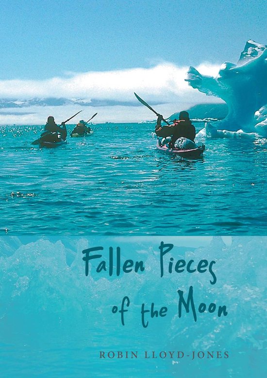 Fallen Pieces of the Moon - cover