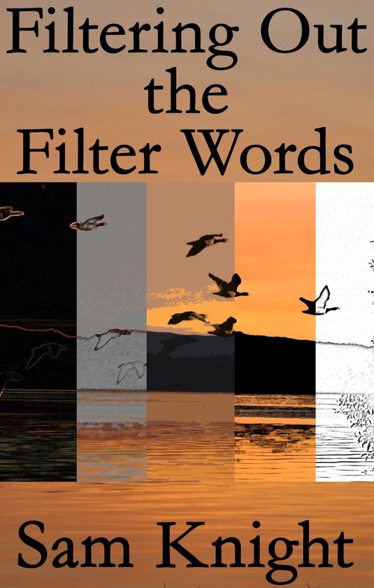 Filtering Out the Filter Words - cover