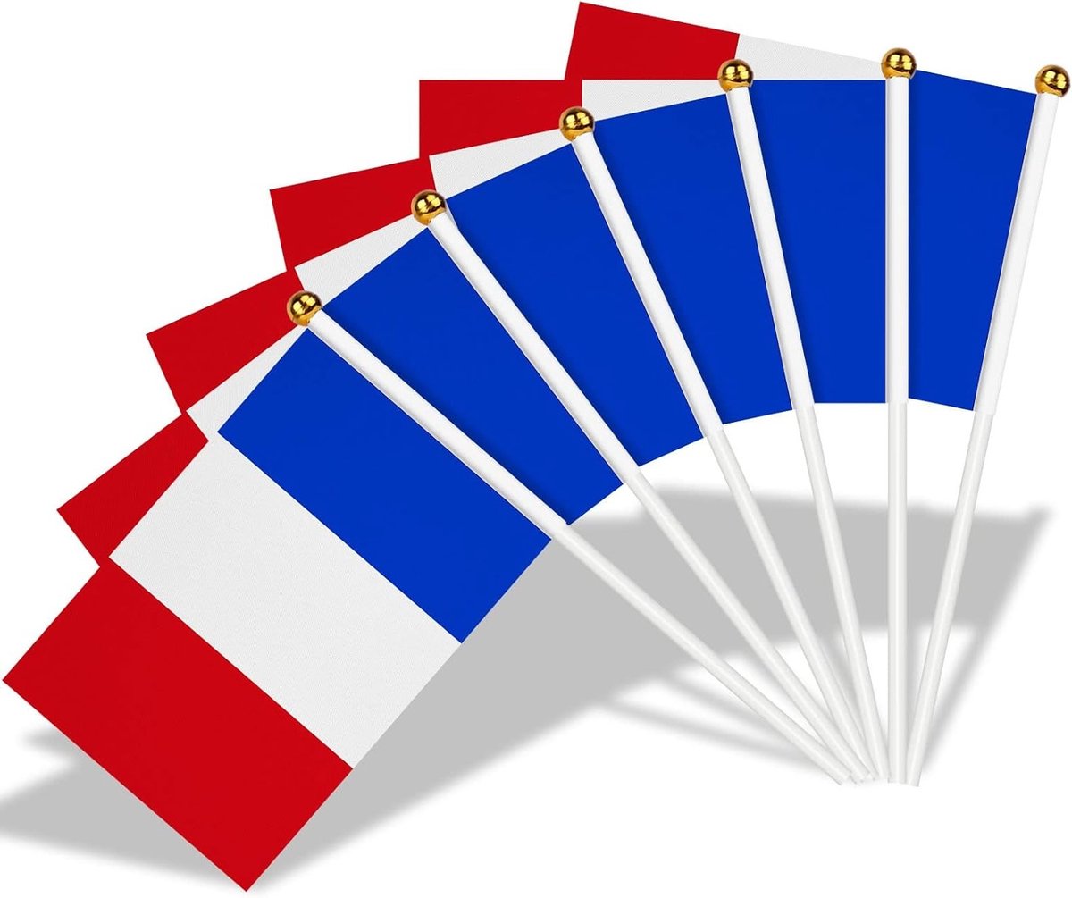 15 Stuks Franse Vlaggen op Stokken voor Feestdecoraties, 14 x 21cm Handheld Dubbelzijdige Vlaggen met 30cm Witte Steel voor Euro 2024, Voetbal en Tuinfeest
