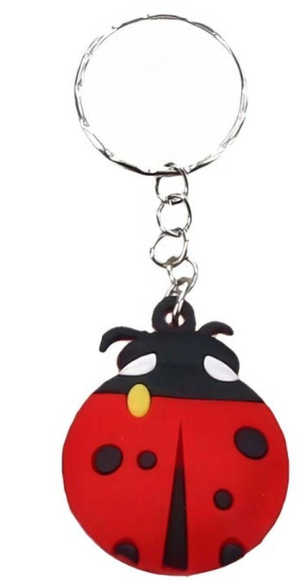 Vrolijk Lieveheersbeestje met Grote Ogen 3d Sleutelhanger - Lady bird - Traktatie Meisjes & Jongens - Geluk - Sleutelhangertje - 1 Stuks