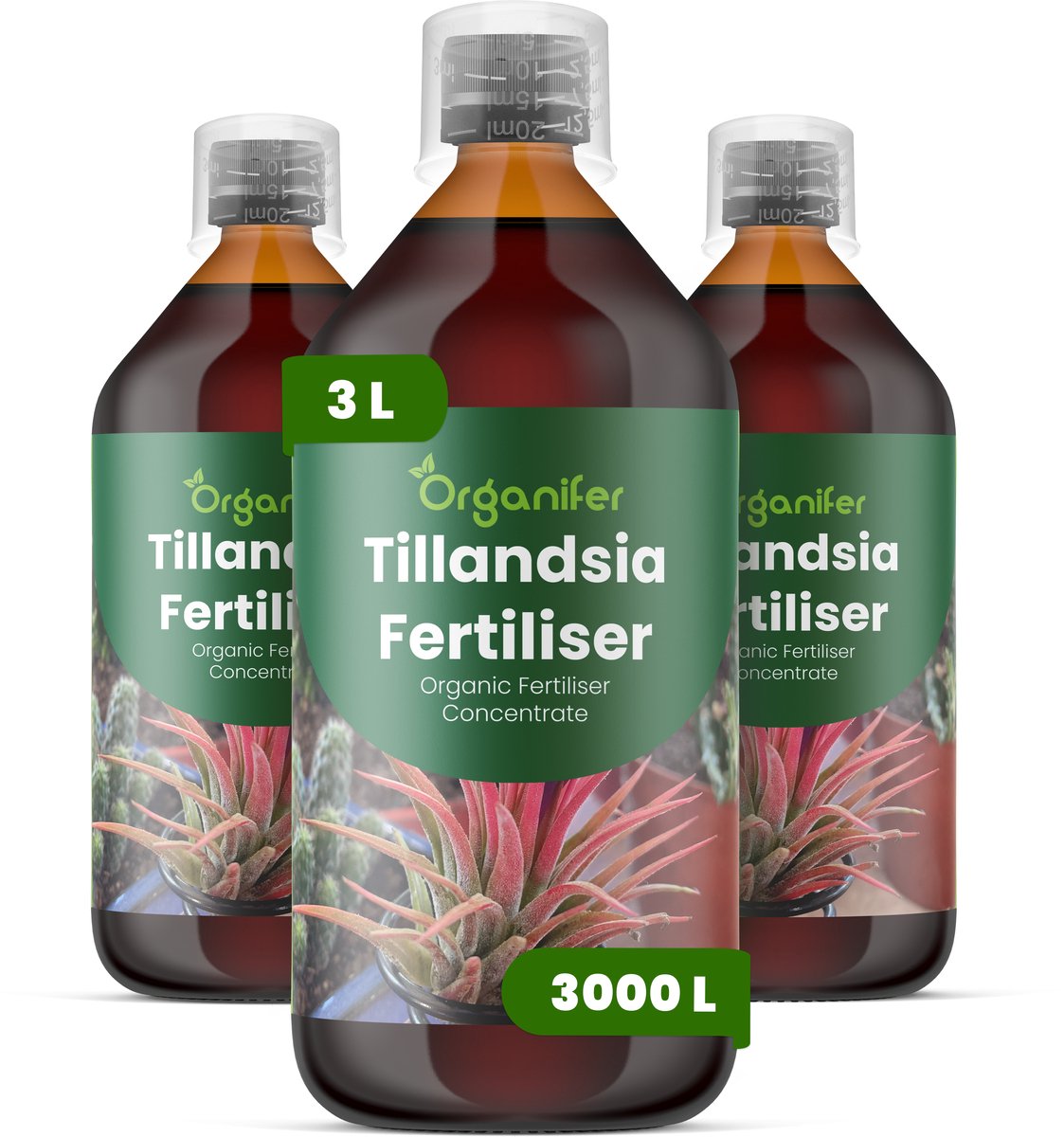 Vloeibare Meststof Voor Tillandsia 3X1 L Voor 3000 L - Npk 2-1-8 - Versterkt De Bladstructuur En Stevigheid - Bevordert Compacte - Evenwichtige Groei - Geschikt Voor Grondloze En Opgehangen Planten - Ondersteunt Langdurige Vitaliteit - Organifer