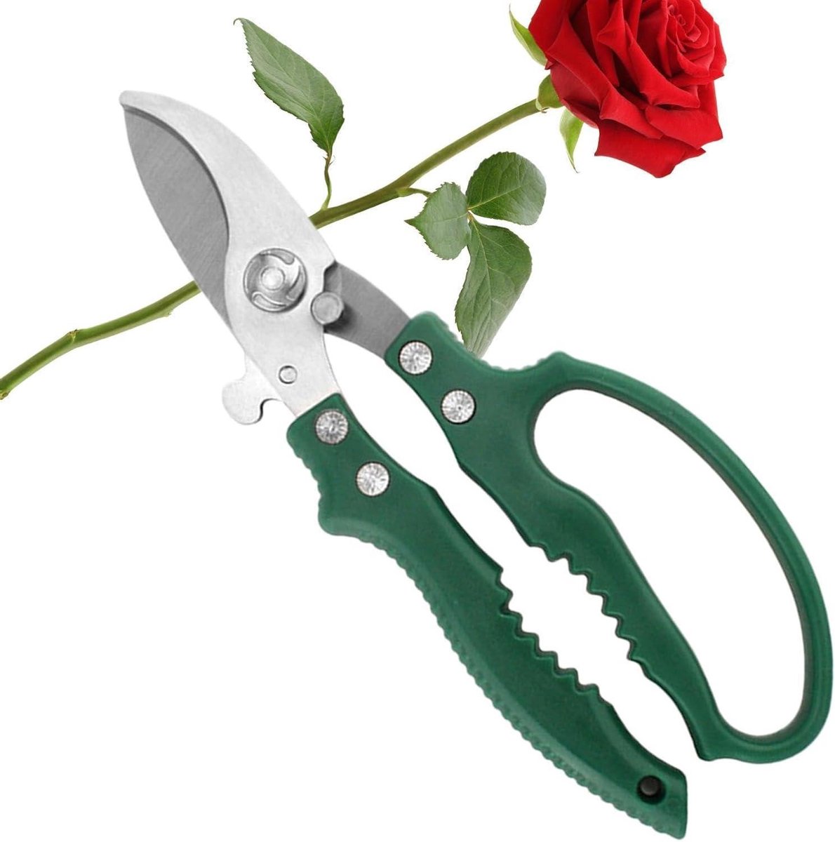 Tuinschaar Takkenknipper - Snoeigereedschap Hoveniers - Tuinonderhoud Snoeien - Ergonomische Antislip Grip - 20-21 cm - Gebogen Hoofd