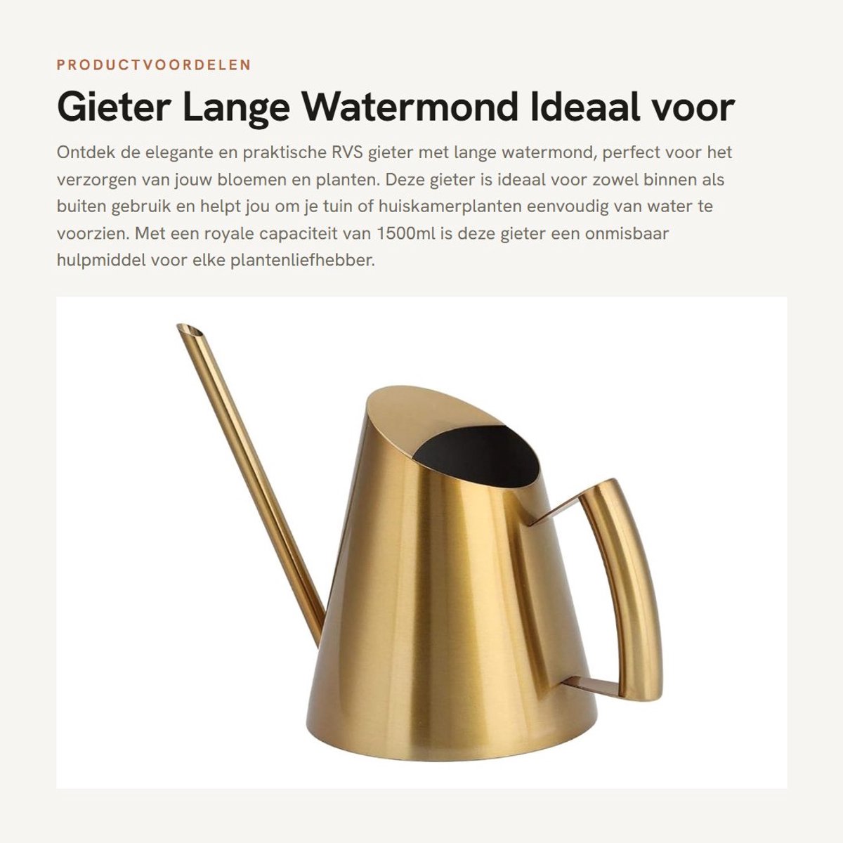 Dailygoods- Gieter 1500ml Roestvrij Staal - Gieter voor Binnen - Gieter voor Buiten - Gieter met Sproeikop - Gieter Klein - Tuin Gereedschap - Plantenwaterkan