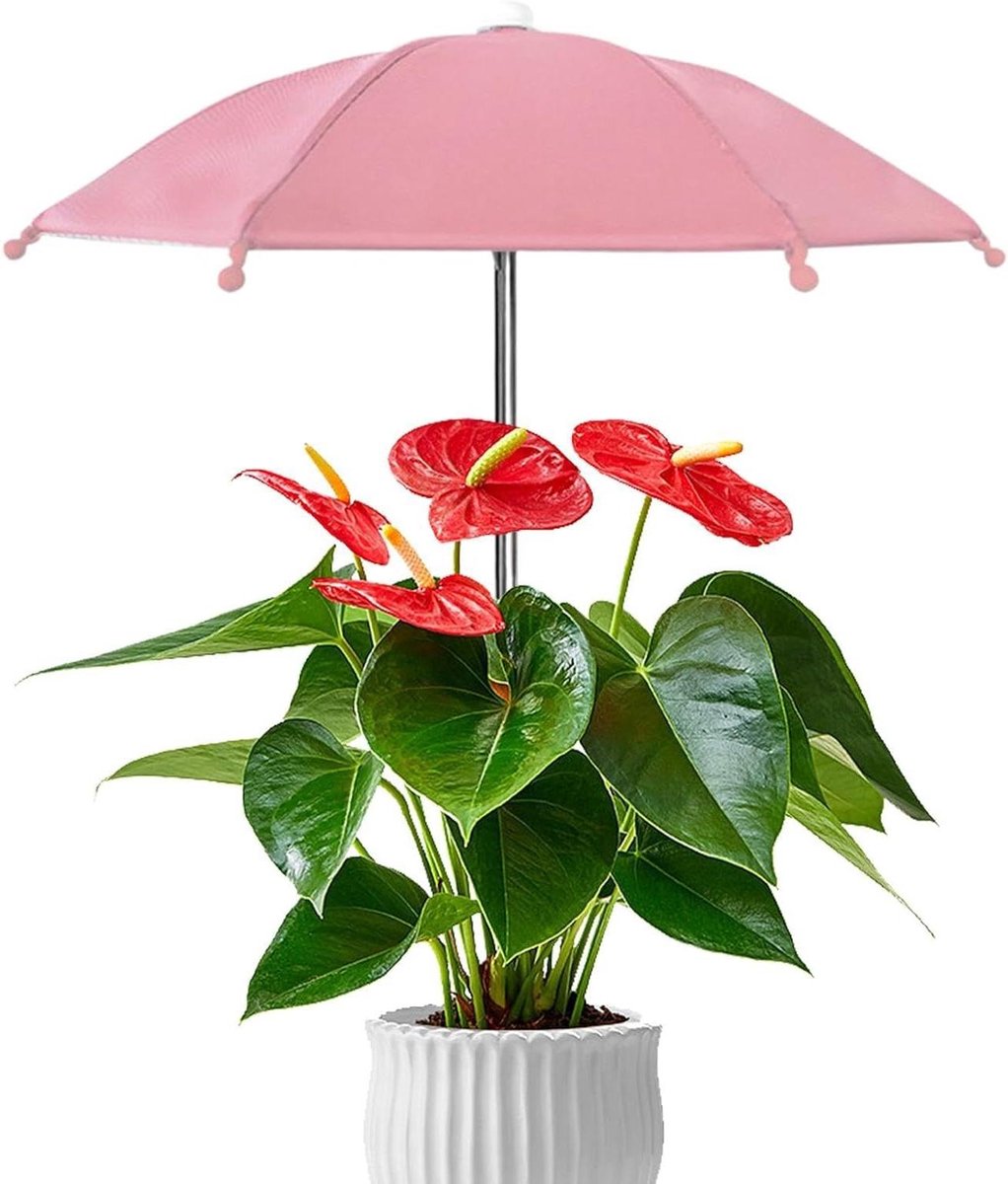 Plantenparasol - Buitenafdekking - Bescherming Buiten - UV-bescherming - 35 x 27 cm - Zwart