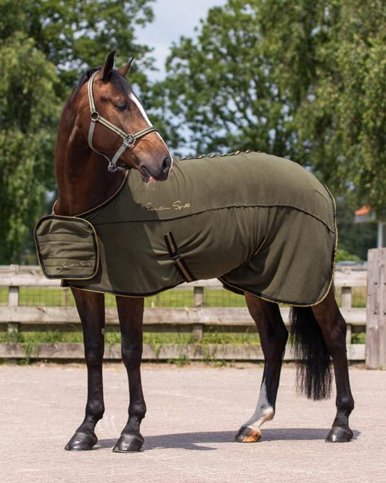 Bruin paard met halsdekker en groene microfiber deken met goudkleurige bies en geborduurde tekst 'Equestrian Sports'.