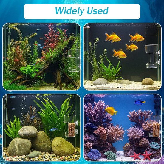 2-stuks Drijvende voederring - Aquarium voederring - Transparante voerbak - Kolomvoerbak - Afvalvrij en eenvoudig te installeren - Acryl materiaal - 10 x 6 cm - Geschikt voor aquariums, guppy's en betta's - Transparant — afbeelding 5