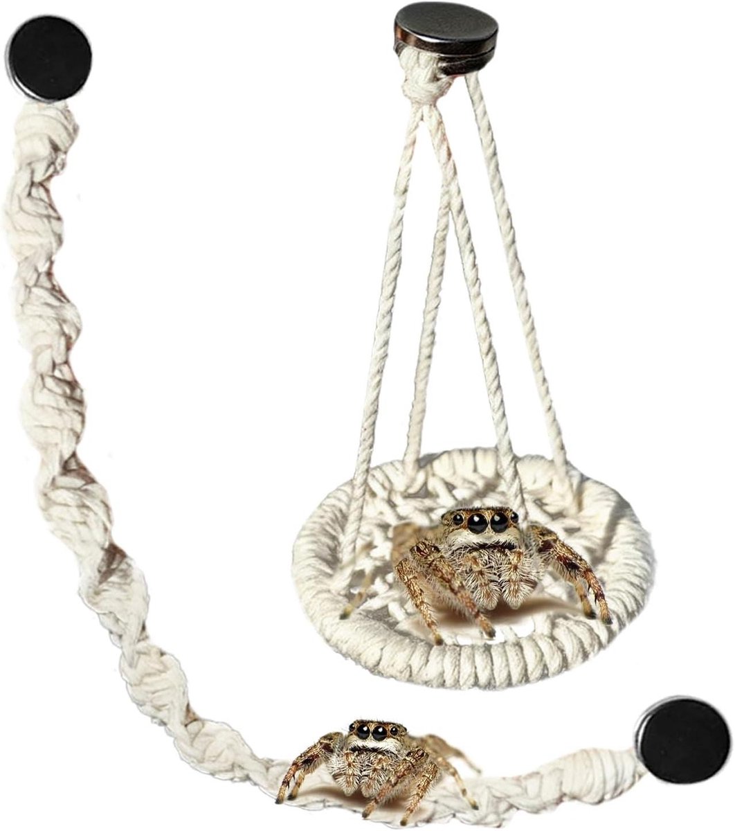 Touw Schommel Set - Hangmat Hangbrug - Terrarium Verrijking - Handgemaakt Katoen - 9x6x6cm & 25x1cm - Niet gespecificeerd