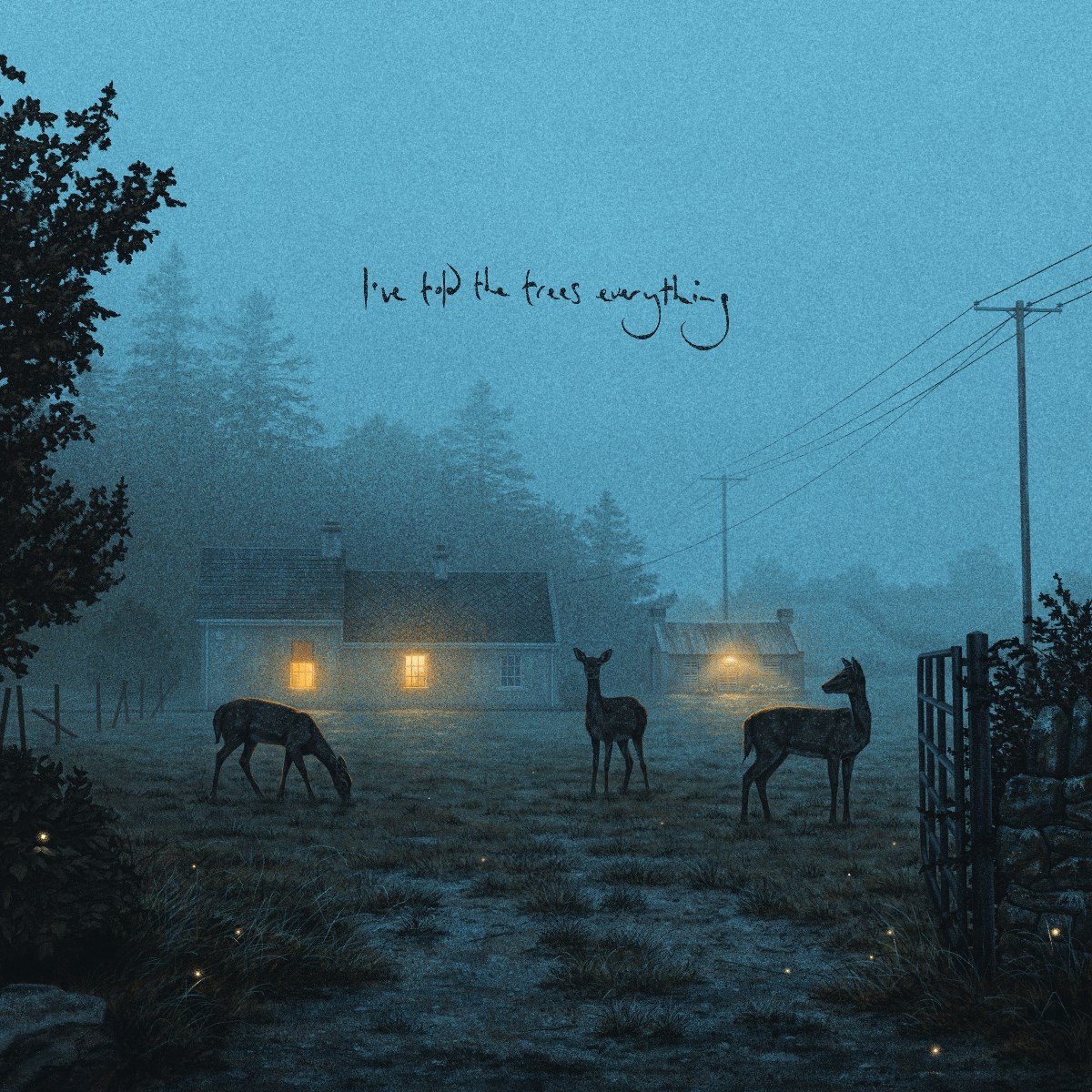 Dermot Kennedy - I've Told The Trees Everything (12" Single) (Limited Edition)