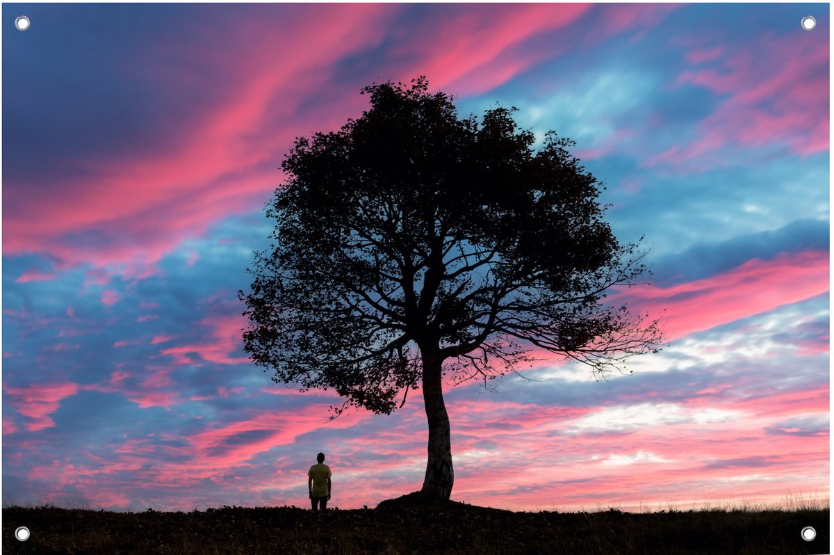 Boom Silhouet Avondhemel - Tuinposter - Tuindoek - 60x40 cm - Buitenposter - Schuttingdoek - Tuinschilderij voor Buiten