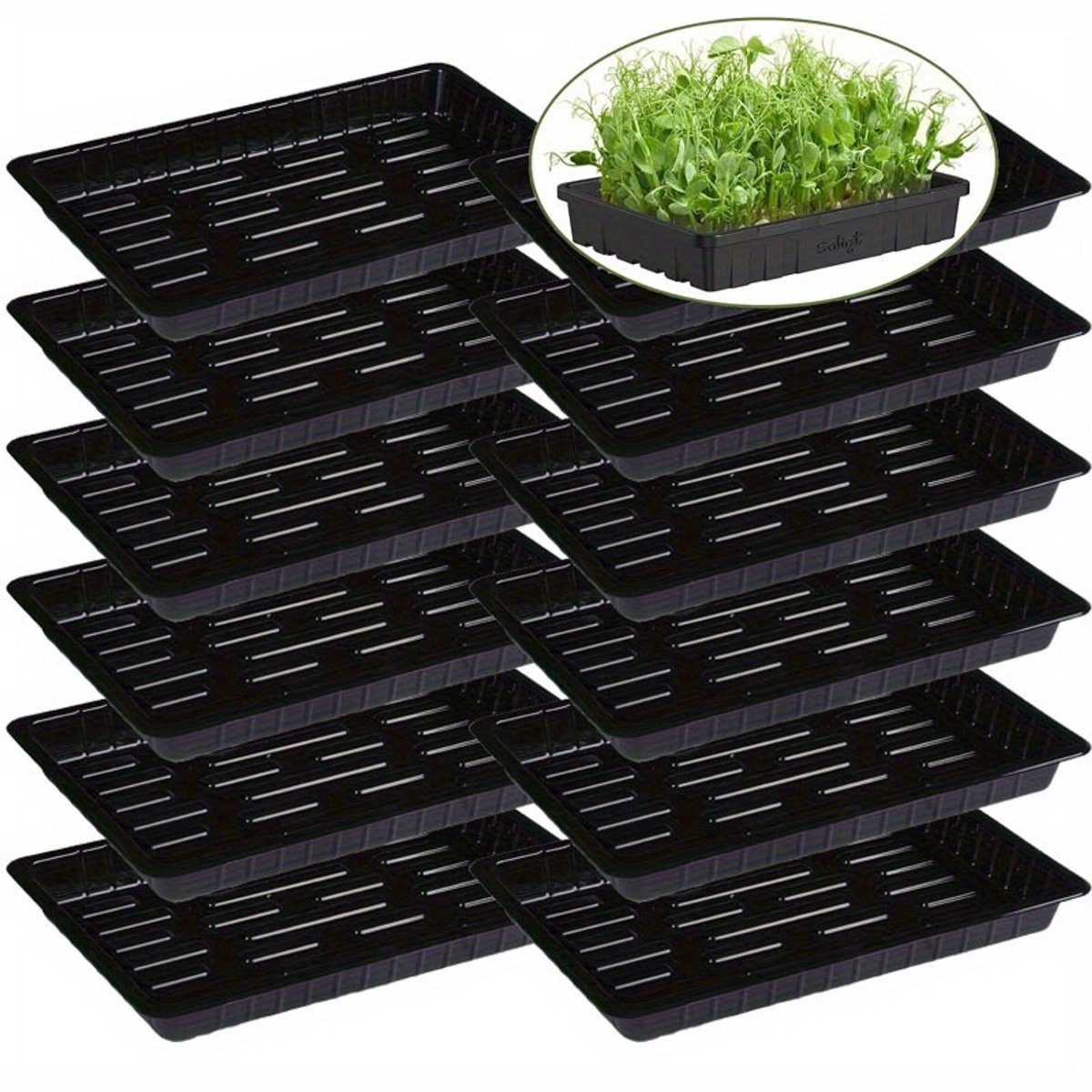 12 Pack Kweekbak - Complete Kweekset - Moestuin Kweekkas - Kweektafel - Kweekbakken Moestuin - 25.5x17.5x2.5cm - Zwart