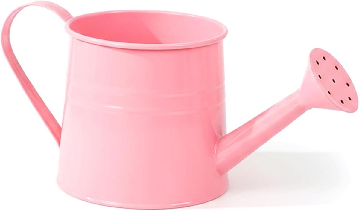 Kleine gieter - Metalen plantenpot - Kamerplanten verzorgen - Precisie uitloop - 0.5L inhoud - Vintage zwart