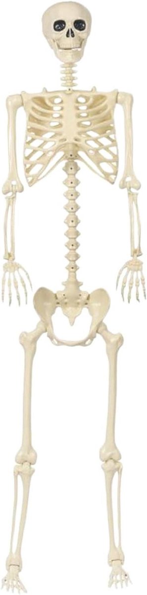 Halloween Skelet - Beweegbaar Figuur - Feestdecoratie Buiten - Levensechte Details - 20.5x42x20.5 cm - Niet gespecificeerd