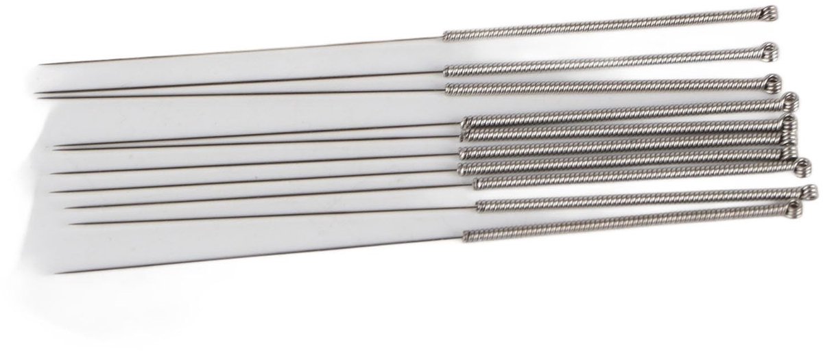 Dailygoods- Reinigingsnaald 10 Stuks - 0.4mm Nozzle - Roestvrij Staal - Effectieve Reiniger - Scherpe Punt - Unieke Naaldgreep - 3D Printer Onderhoud