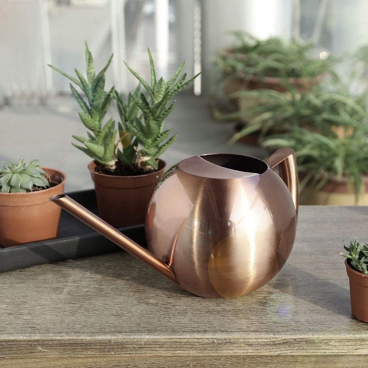 Dailygoods- Gieter 1L Capaciteit - Roestvrijstalen Gieter - Ergonomisch Ontwerp - Multifunctionele Gieter - Voor Binnen/Buiten - Glad Oppervlak - Plantenbewateringskan
