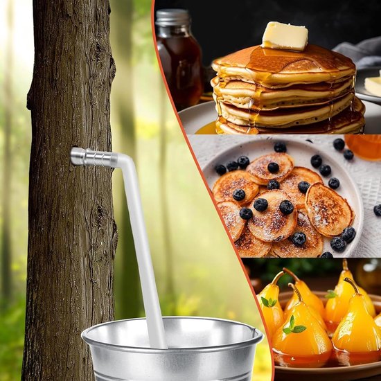 Sap Tapping Kit - Kraan Set - Sap Verzamelen - Roestvrij Staal - 4 Delig - Veelkleurig van SAP — afbeelding 2