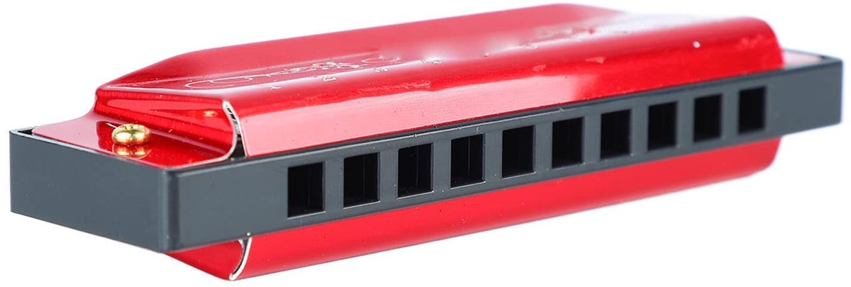 Dailygoods - Professionele Mondharmonica met 10 Gaten voor Beginners en Kinderen