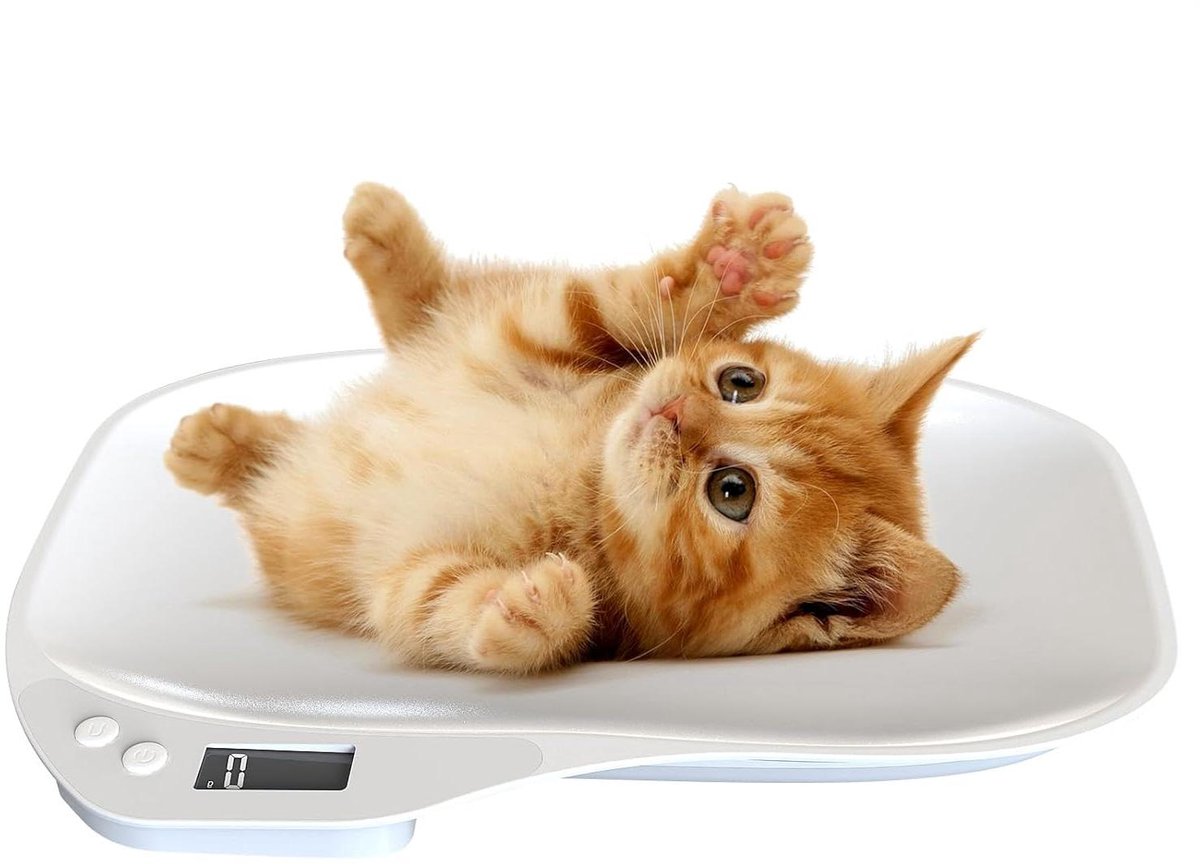 Huisdieren Weegschaal - Digitale Weegschaal - Gezondheid Monitoren - Met Hoogtebakje - 15kg Bereik - Wit