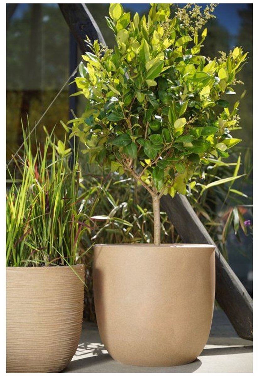 Capi Europe Flower Pot bowl Rib NL - 35x34 - Beige