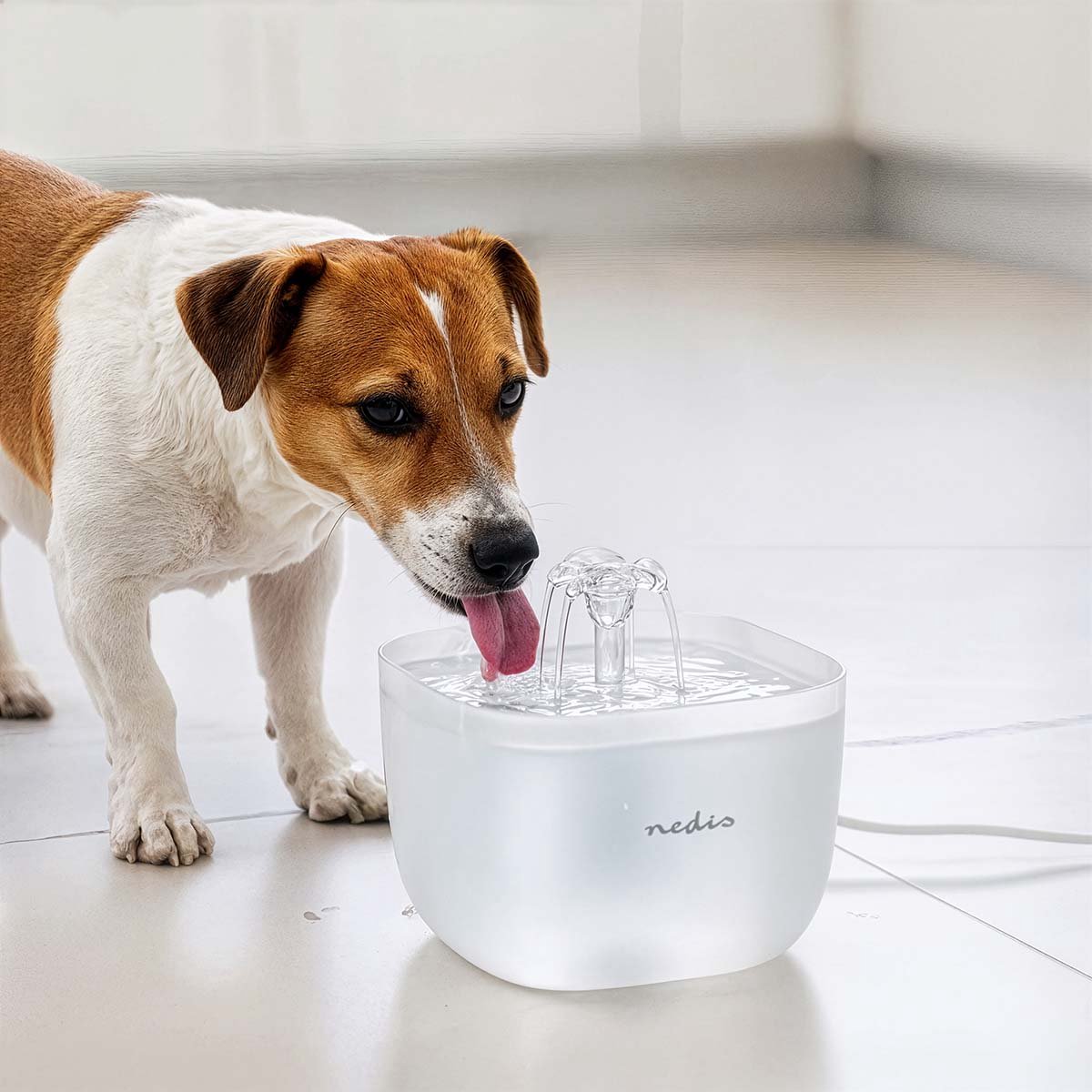 Nedis Drinkfontein voor Hond en Kat - Geruisloos thumbnail 6