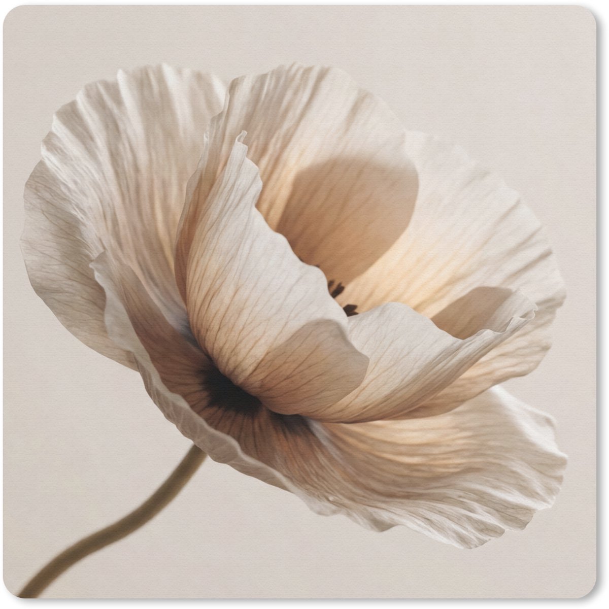Muismat 30x30 cm - Mousepad Bloem - Beige - Crème - Muismatten