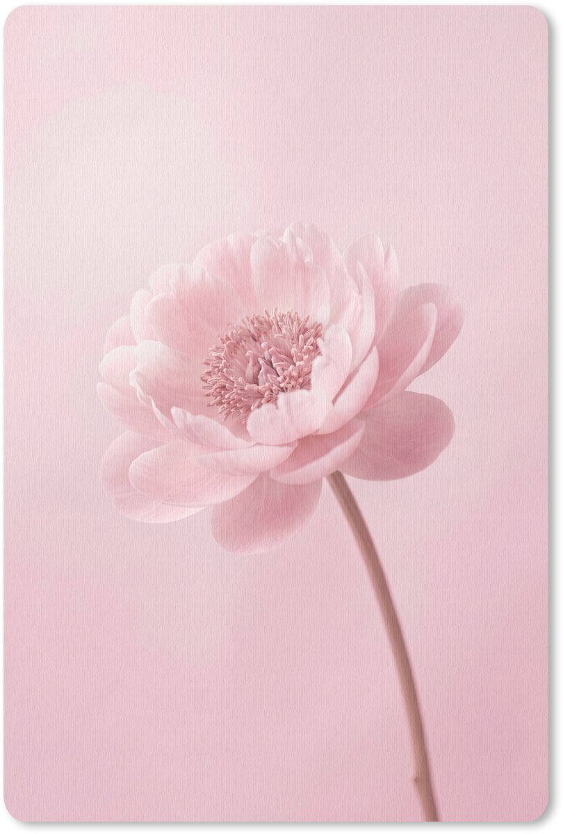 Muismat 13x20 cm - Mousepad Bloem - Pioenroos - Roze - Muismatten