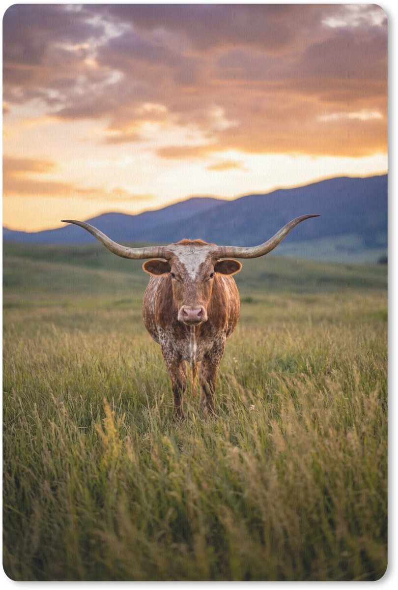 Muismat 13x20 cm - Mousepad Longhorn - Landschap - Zonsondergang - Muismatten