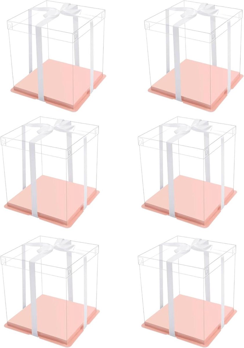 Transparante Taartdoos - Cake Doosjes - Feestelijke Presentatie - Met Lint - 6 stuks - Roze