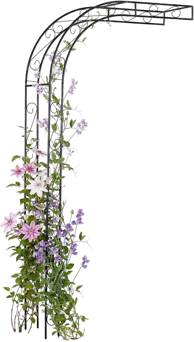 Rozenboog - voor rozen - 125x240x39 cm - zwart