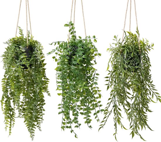 Drie groene hangplanten met lange, dunne en ronde blaadjes in zwarte potten, opgehangen aan touw.