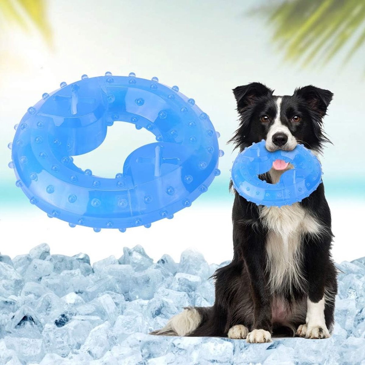 Duurzaam Bevroren Kauwspeelgoed voor Honden, TPR Koel Speelgoed voor Zomertraining en Spelletjes