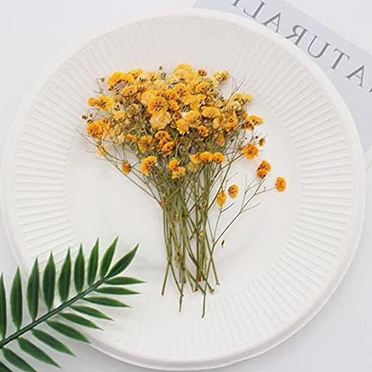 Gedroogde Gipskruid Bloemen - Mini Bloemen Boeket - Huis Decoratie - Natuurlijke Gedroogde Planten - 5-9 cm Lengte - Oranje
