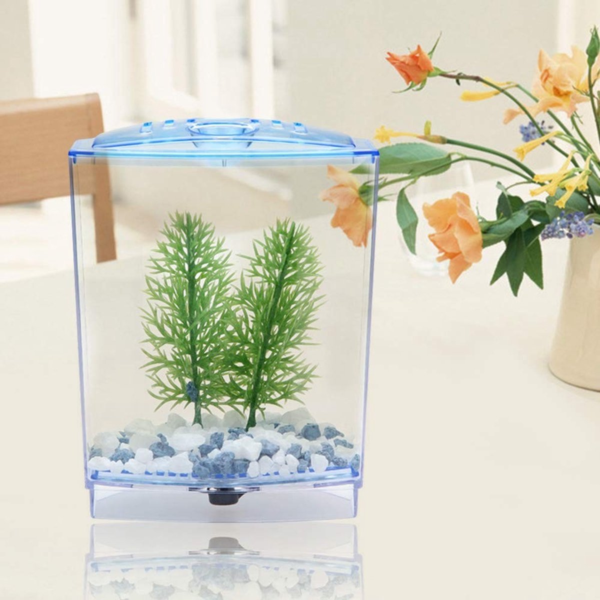 Store_8 - Mini-aquariumtank - Waterplanten Incubator - Transparant - Hoge lichttransmissie - Voor vissen - Ideaal voor aquariumliefhebbers